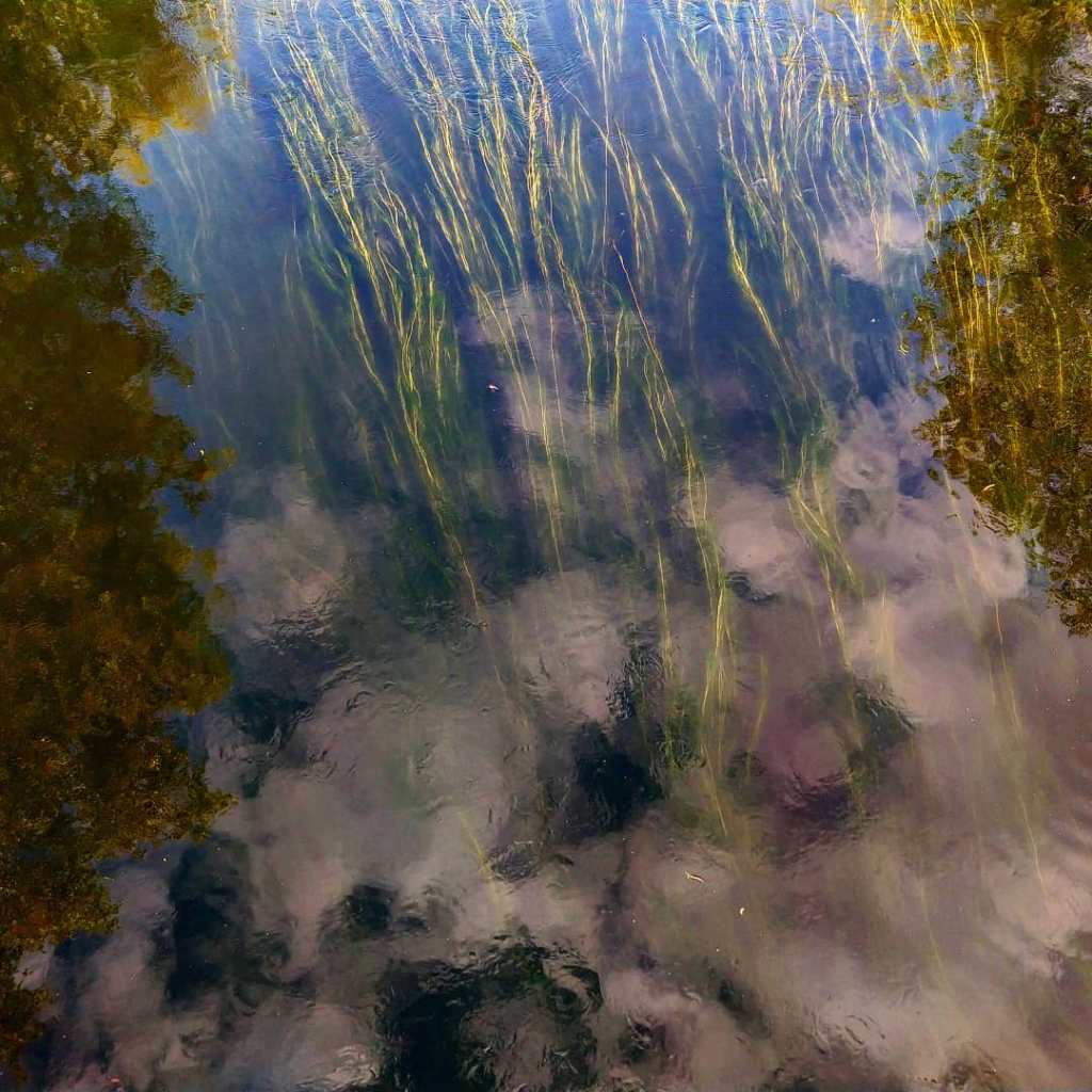 Clouds reflected in a stream